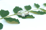 The Lilly Ring